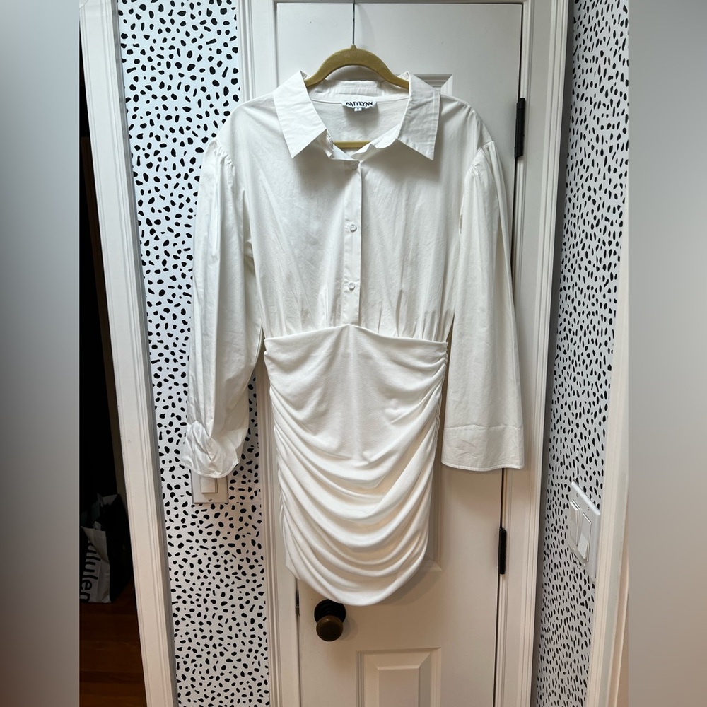 AMYLYNN Harper Shirt Mini Dress